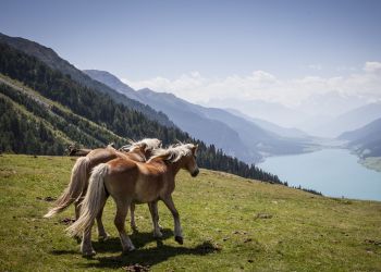 familienurlaub sommer nauders tirol