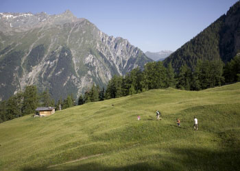 sommerurlaub wanderurlaub bergwiese alm nauders